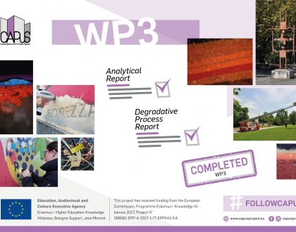 Work Package 3: Final Report