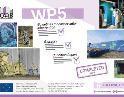 Work Package 5 (Implementation of a Conservation Methodology): Final Report