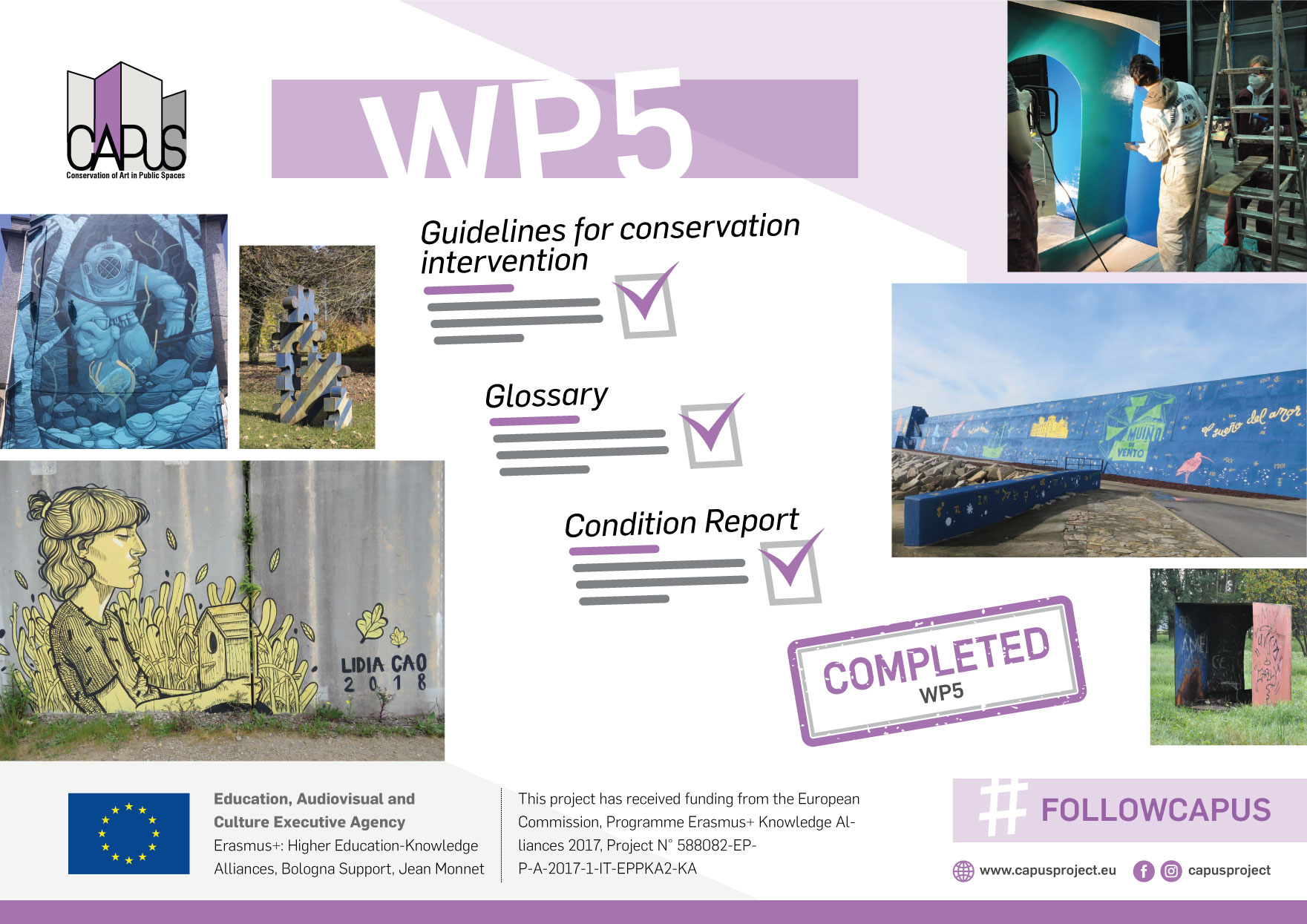 Work Package 5 (Implementation of a Conservation Methodology): Final Report