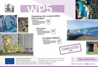 13106Work Package 5 (Implementation of a Conservation Methodology)- Final Report